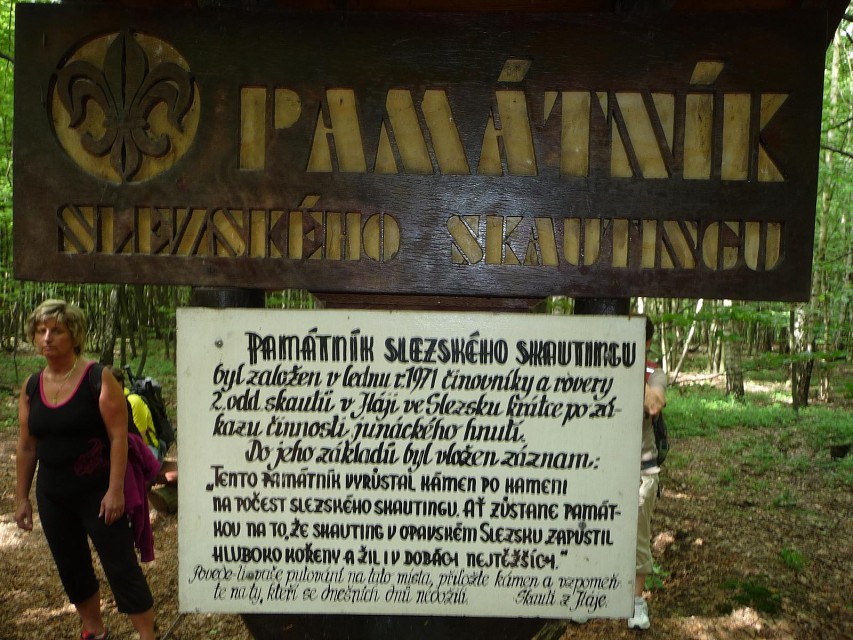 img00019.jpg
