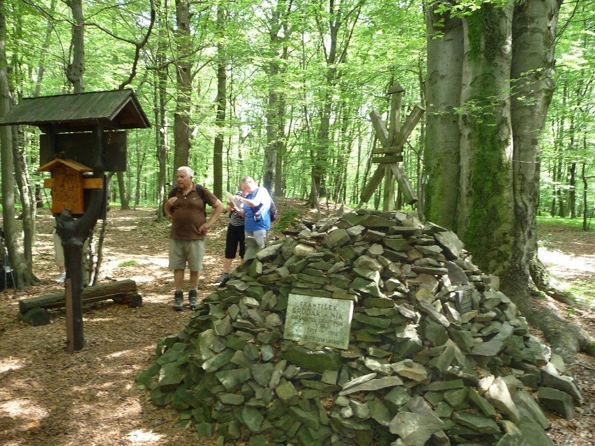 img00020.jpg