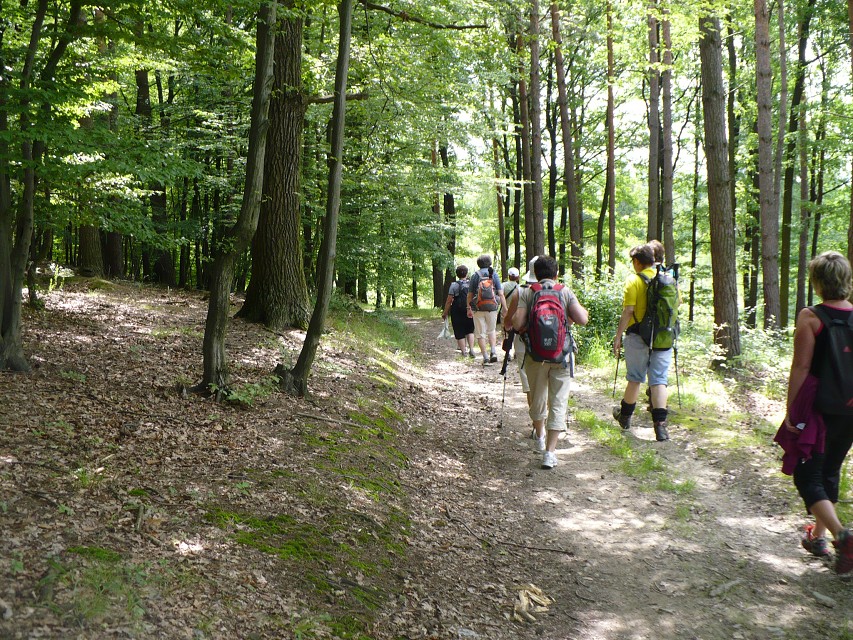 img00023.jpg