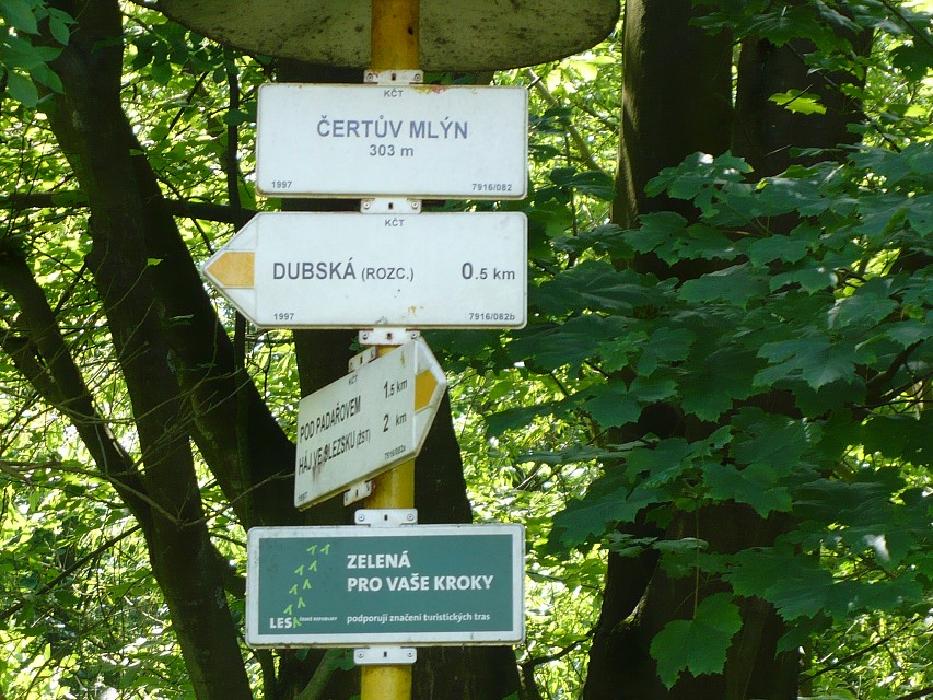 img00024.jpg