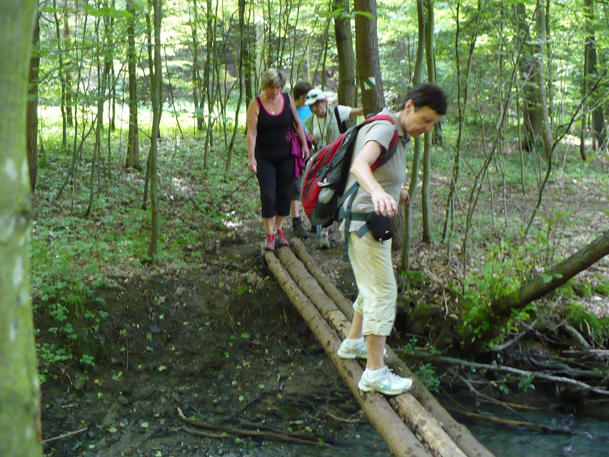 img00026.jpg