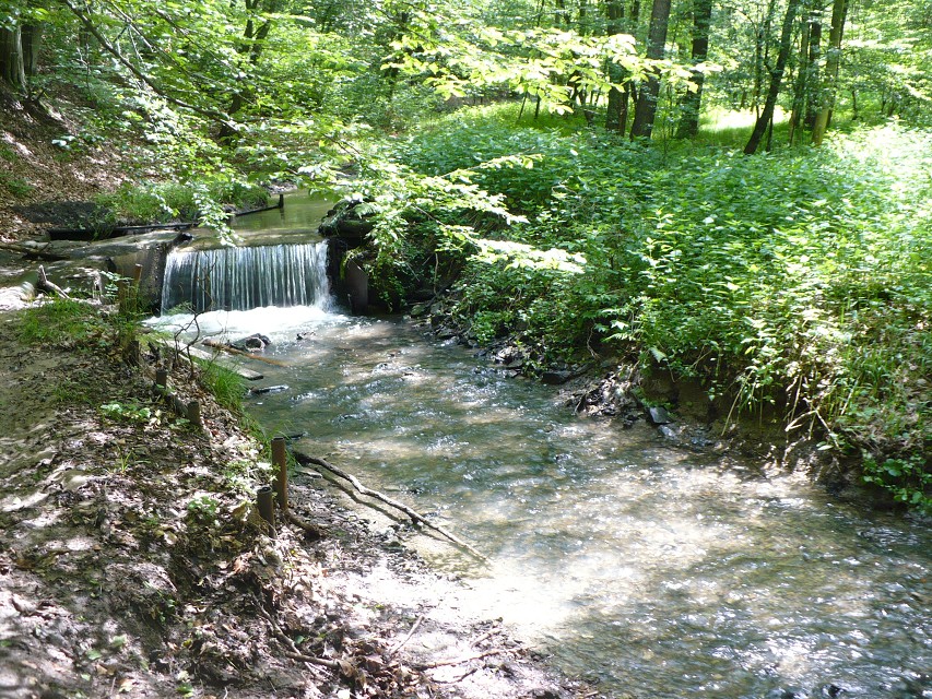 img00027.jpg