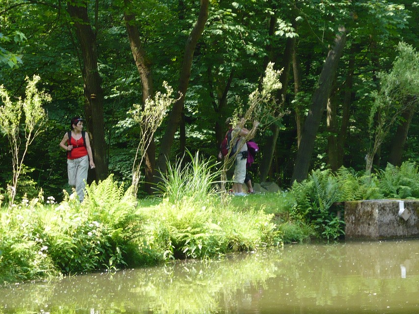 img00029.jpg