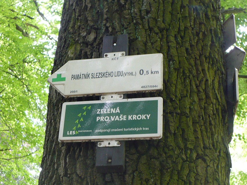 img00030.jpg