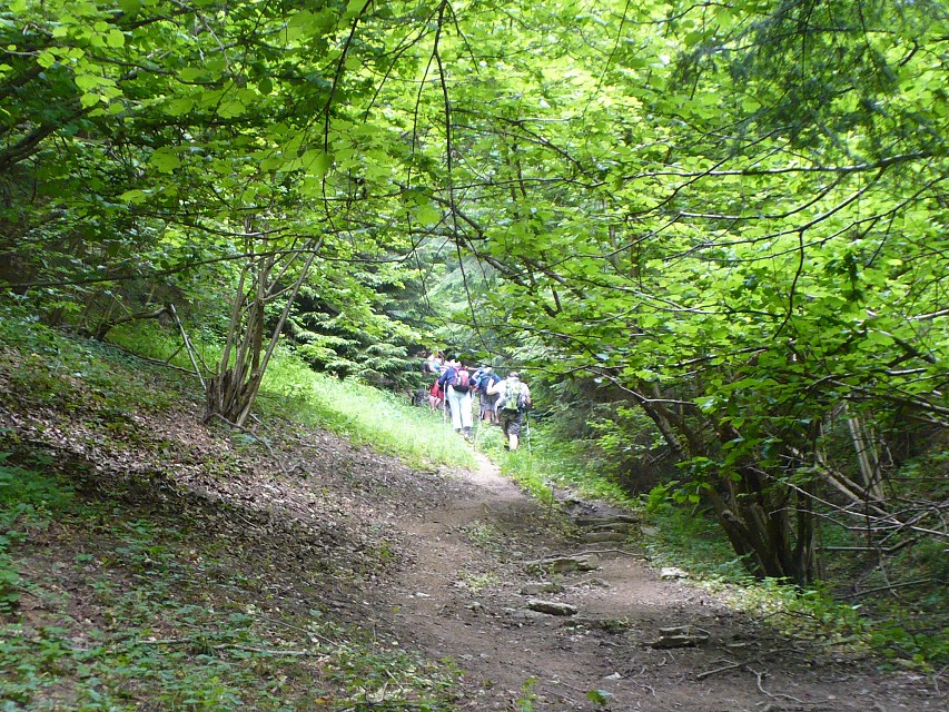 img00004.jpg