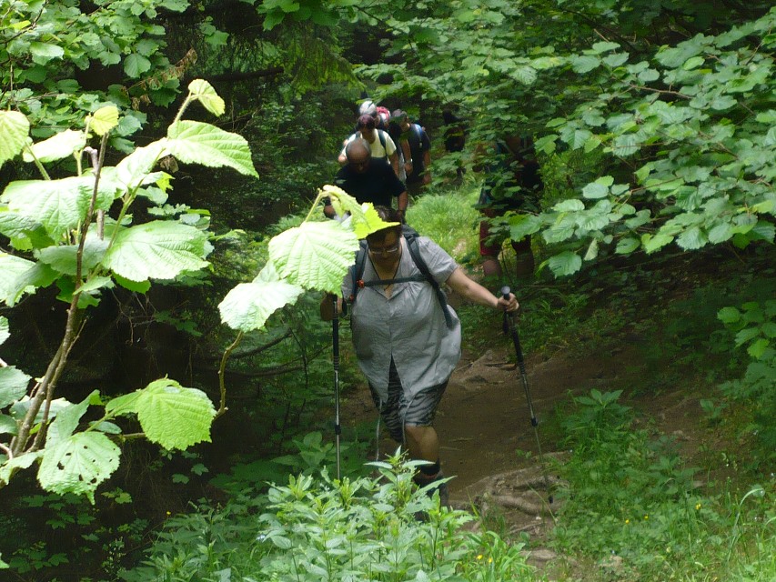 img00005.jpg