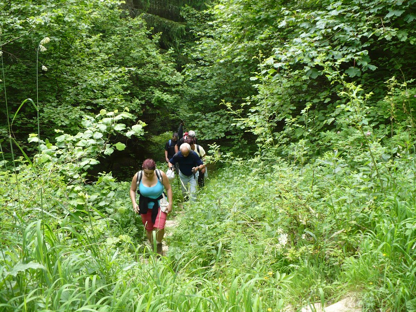 img00006.jpg