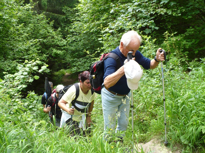 img00007.jpg