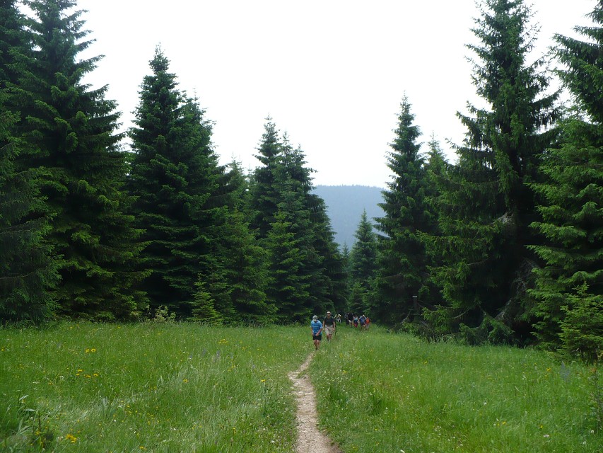 img00008.jpg