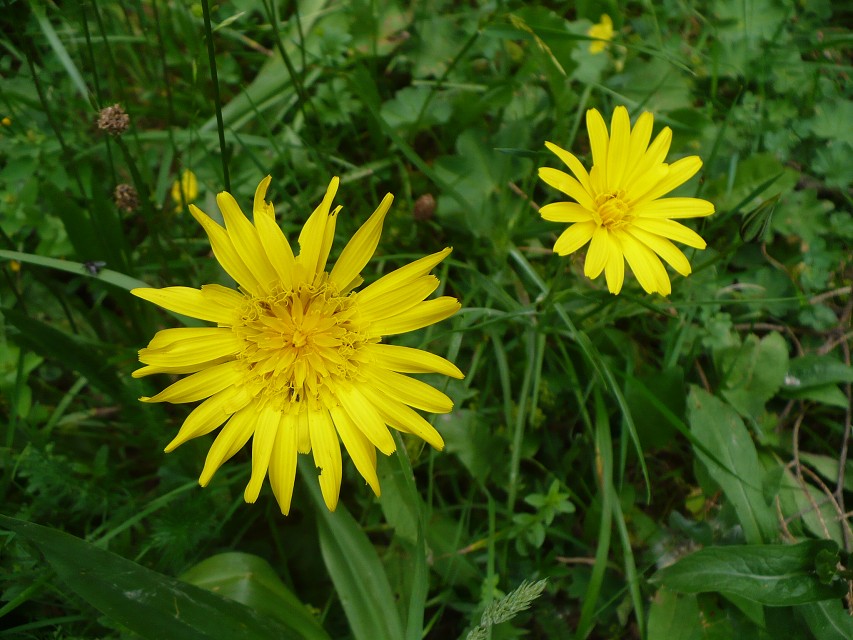img00014.jpg