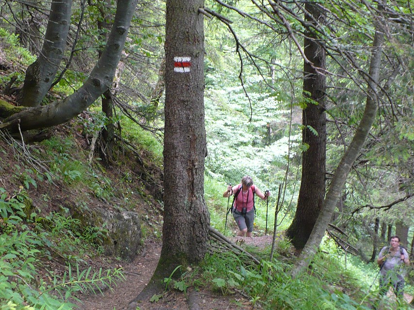 img00024.jpg