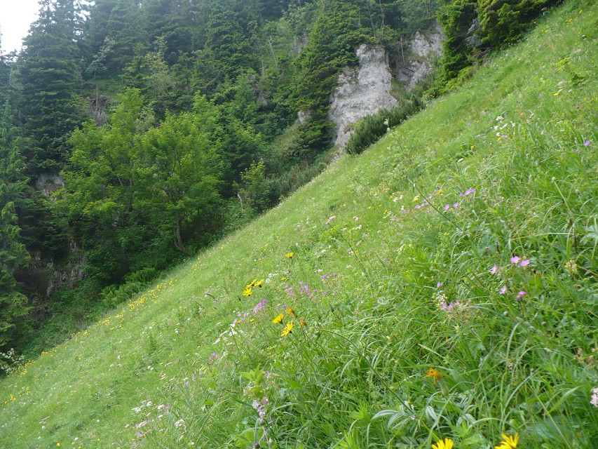 img00027.jpg