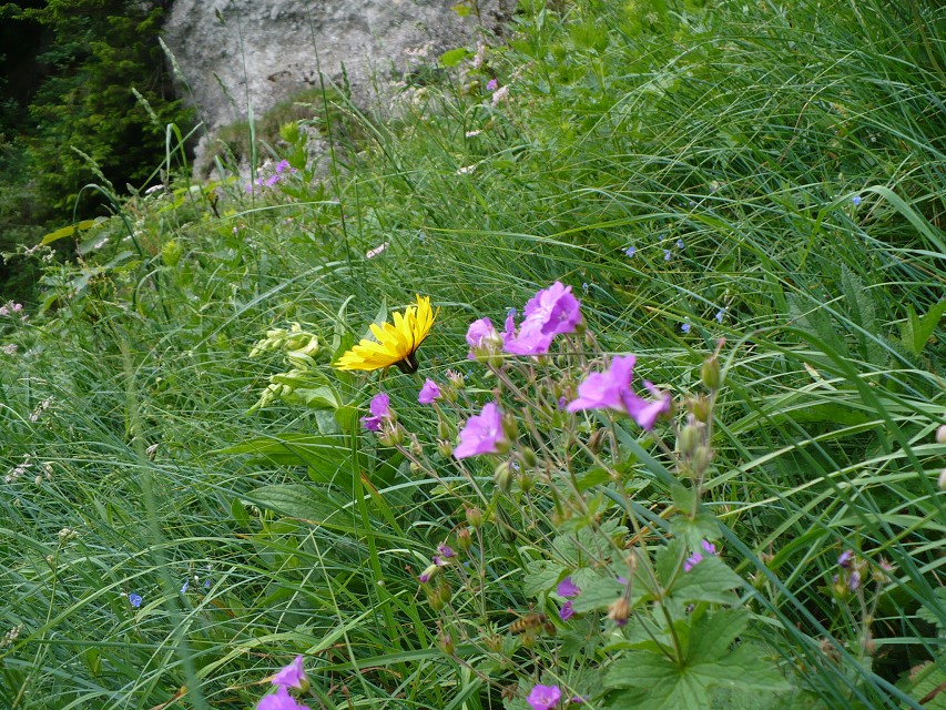 img00028.jpg