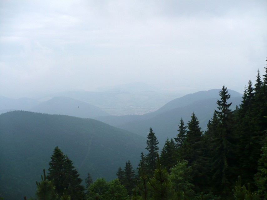 img00029.jpg