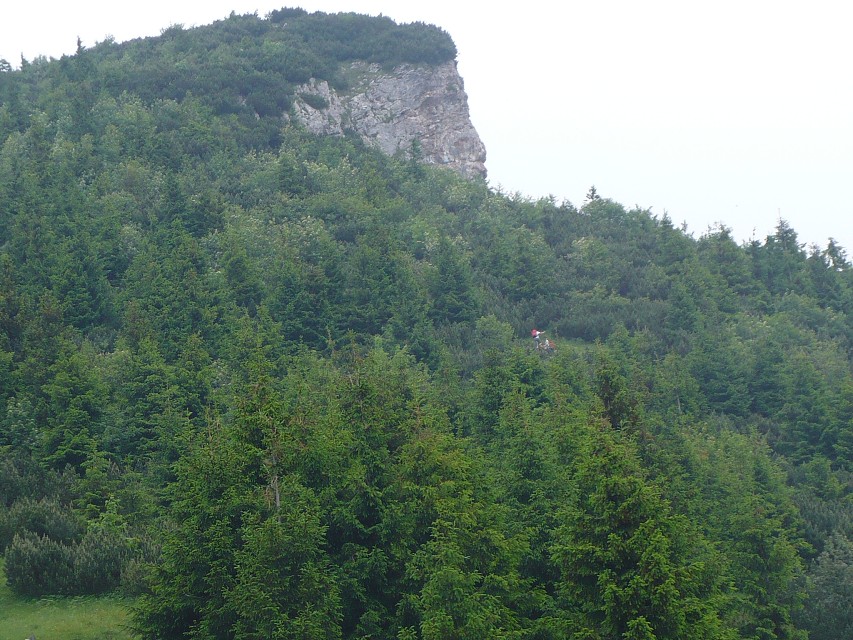 img00034.jpg
