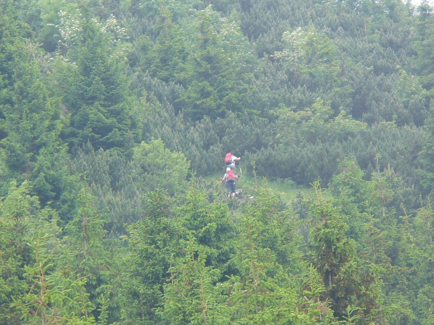 img00035.jpg