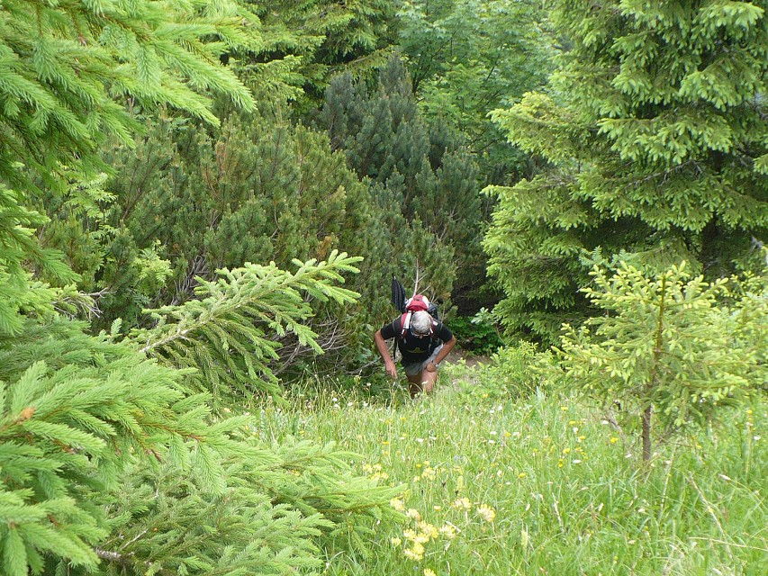 img00037.jpg