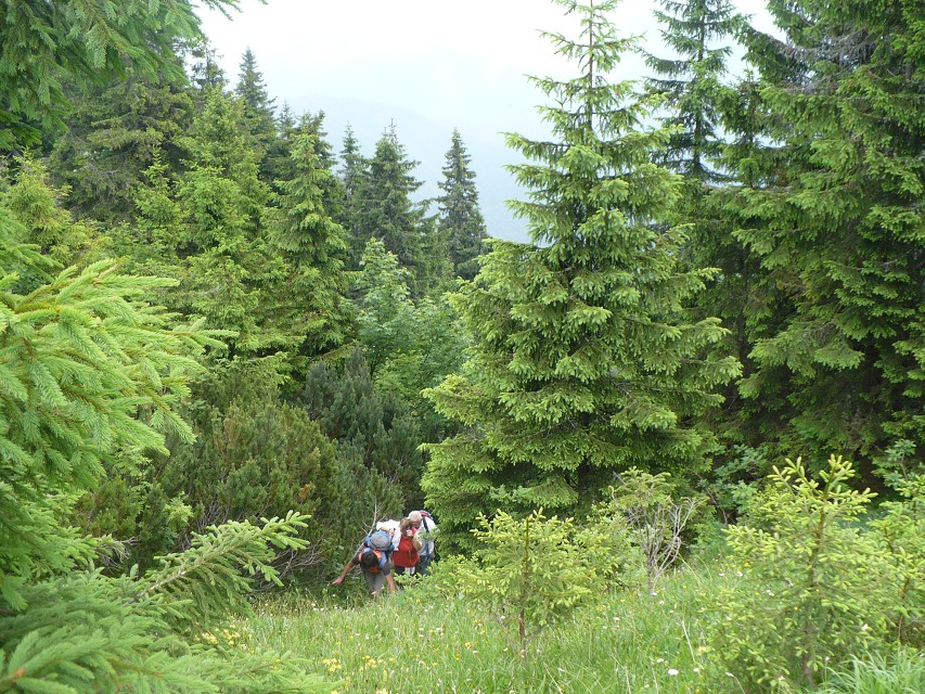 img00038.jpg