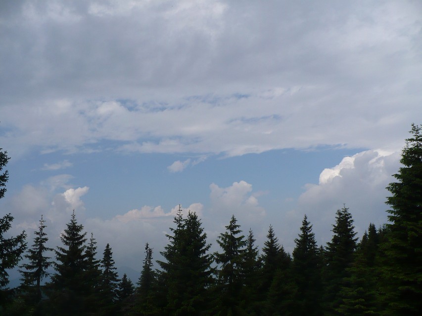 img00043.jpg