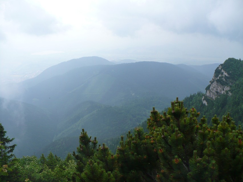 img00045.jpg