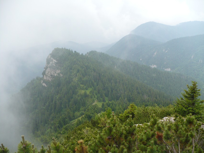 img00047.jpg