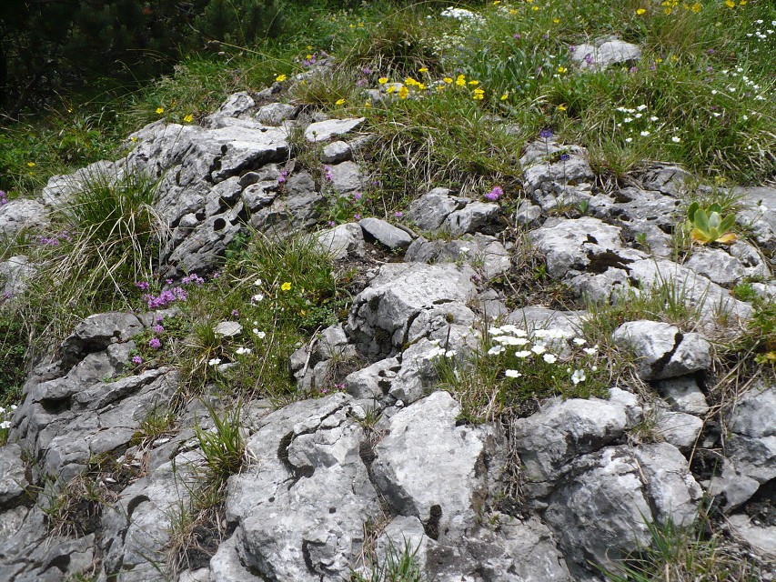 img00049.jpg