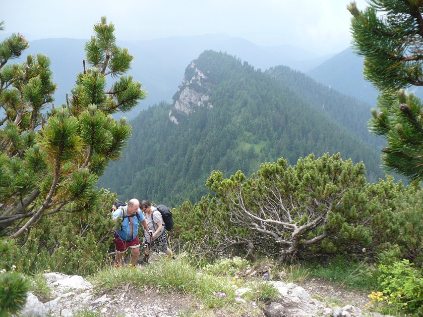 img00051.jpg