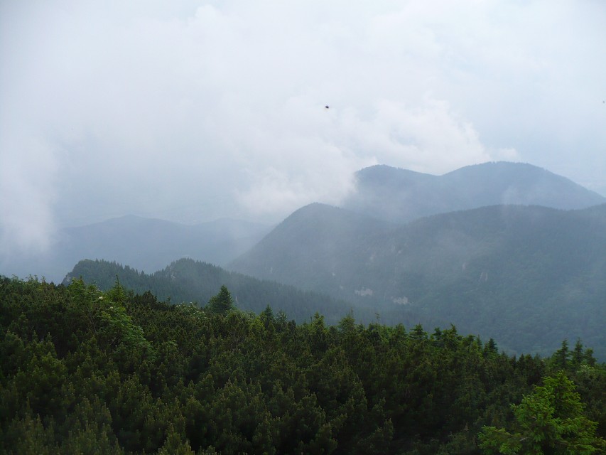 img00057.jpg