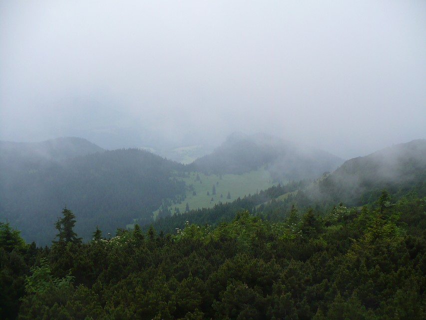 img00058.jpg