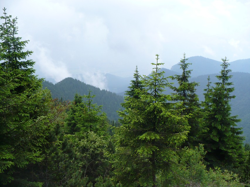 img00064.jpg