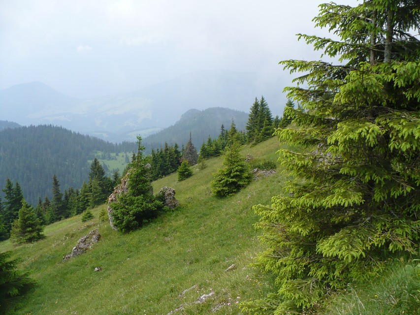 img00069.jpg