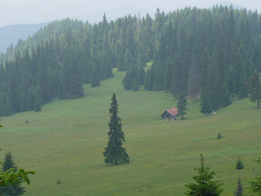 img00073.jpg