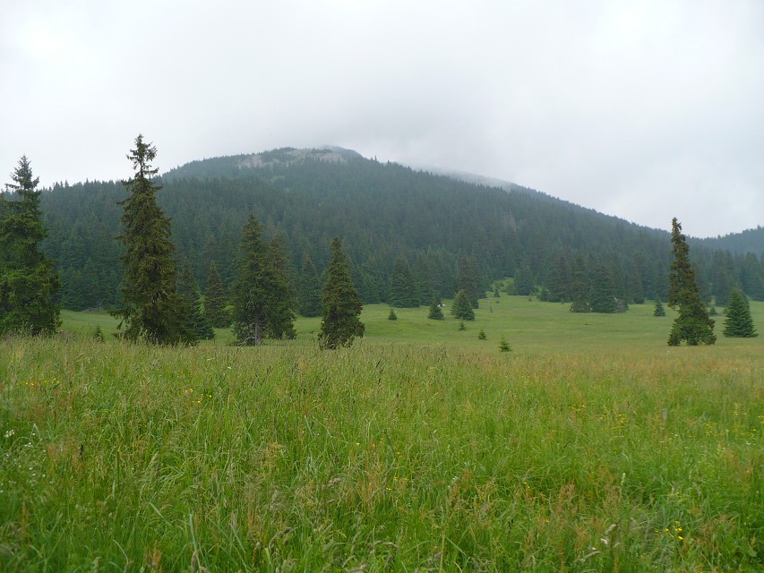 img00078.jpg