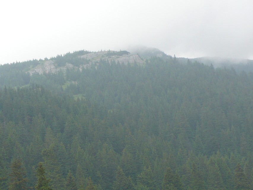 img00079.jpg