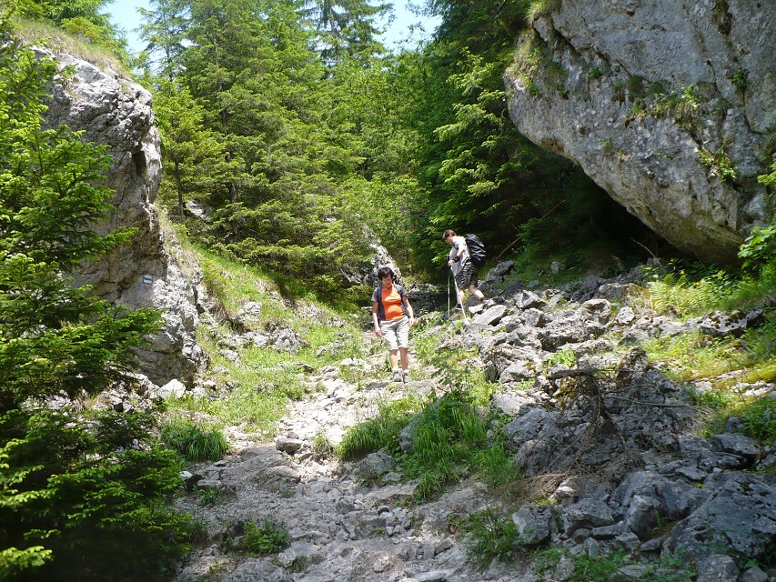 img00080.jpg