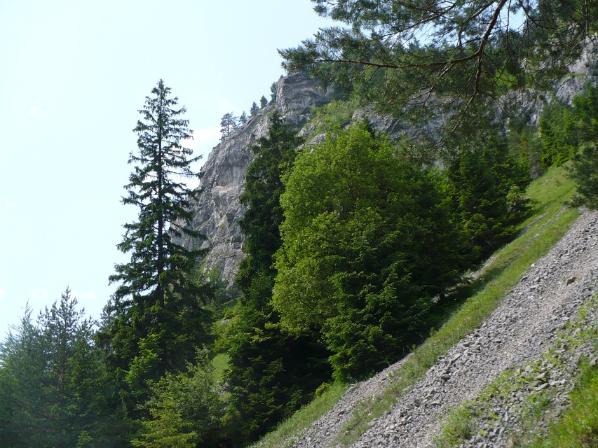 img00081.jpg
