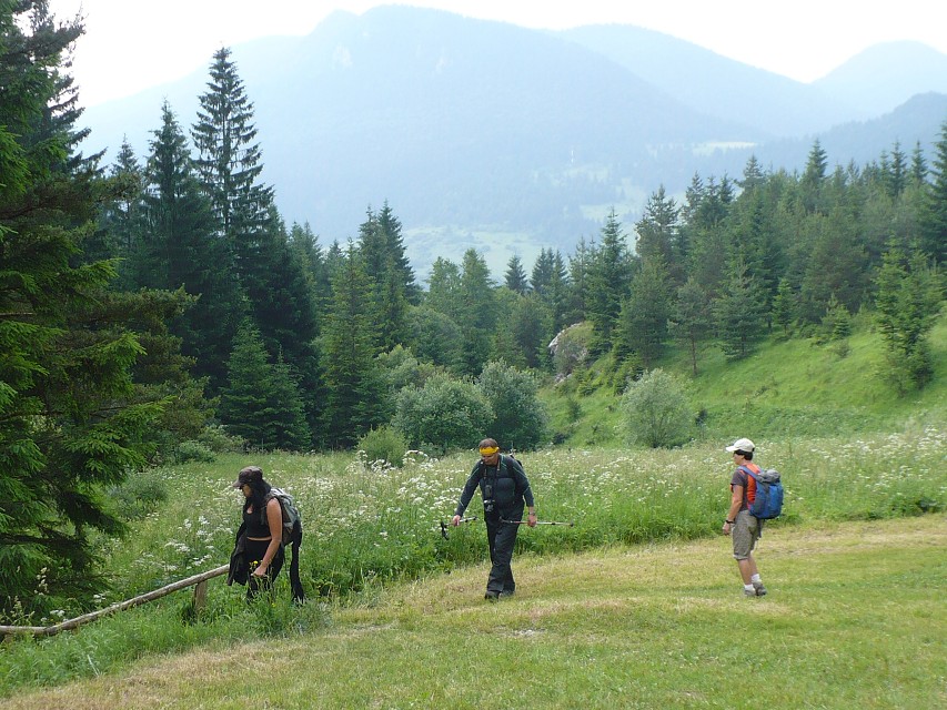 img00083.jpg
