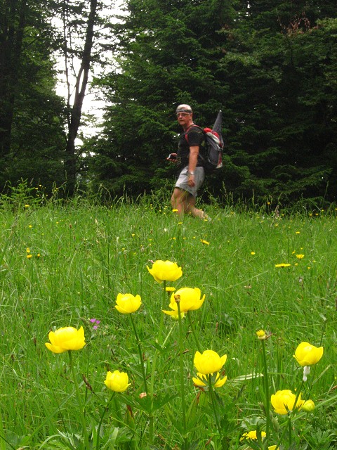 img00094.jpg