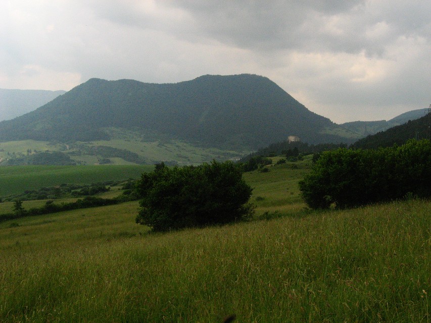 img00101.jpg