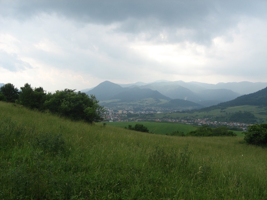 img00102.jpg