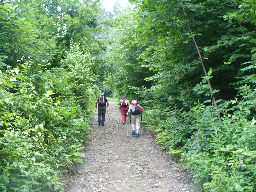 img00004.jpg