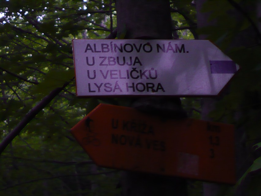 img00007.jpg