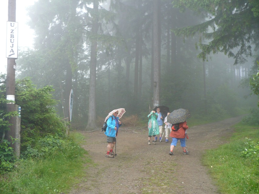 img00009.jpg