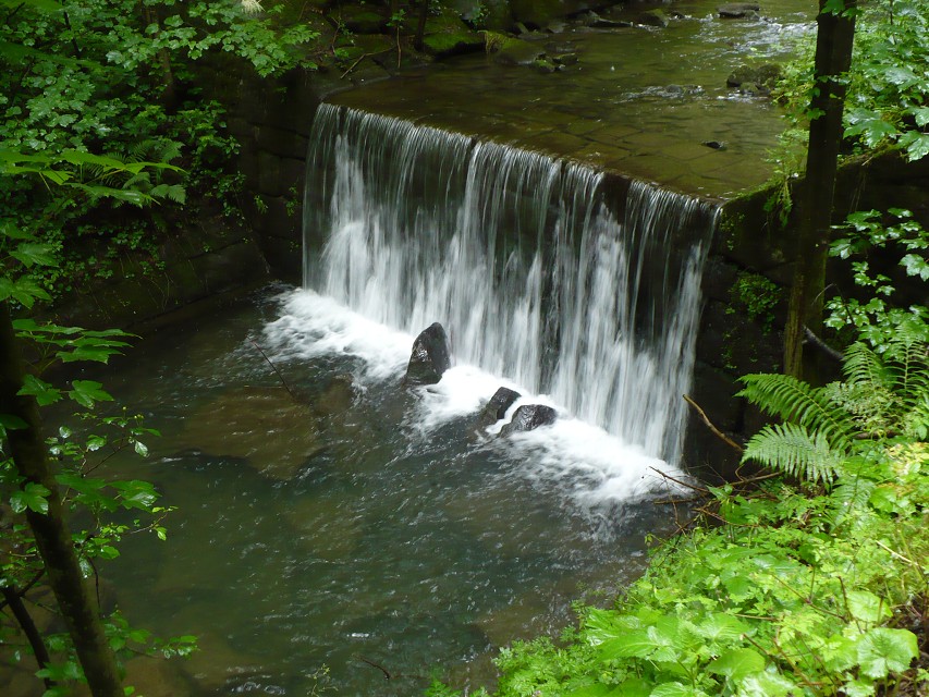 img00025.jpg