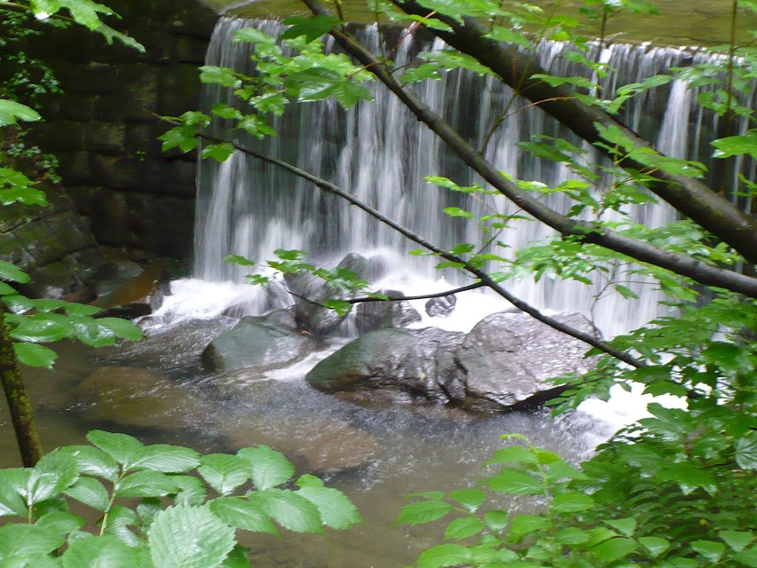 img00026.jpg