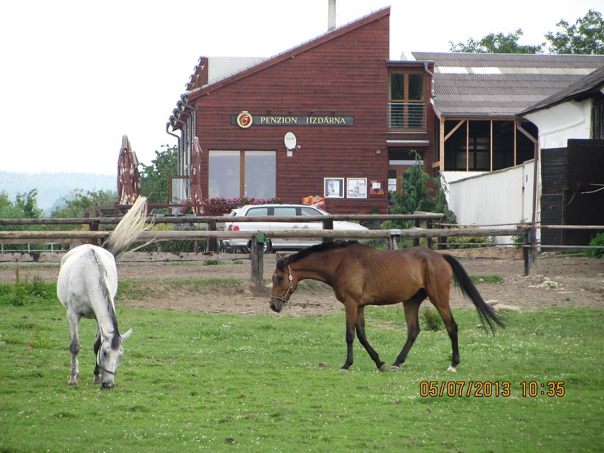 img00013.jpg