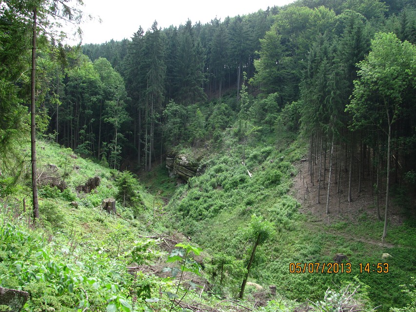 img00033.jpg