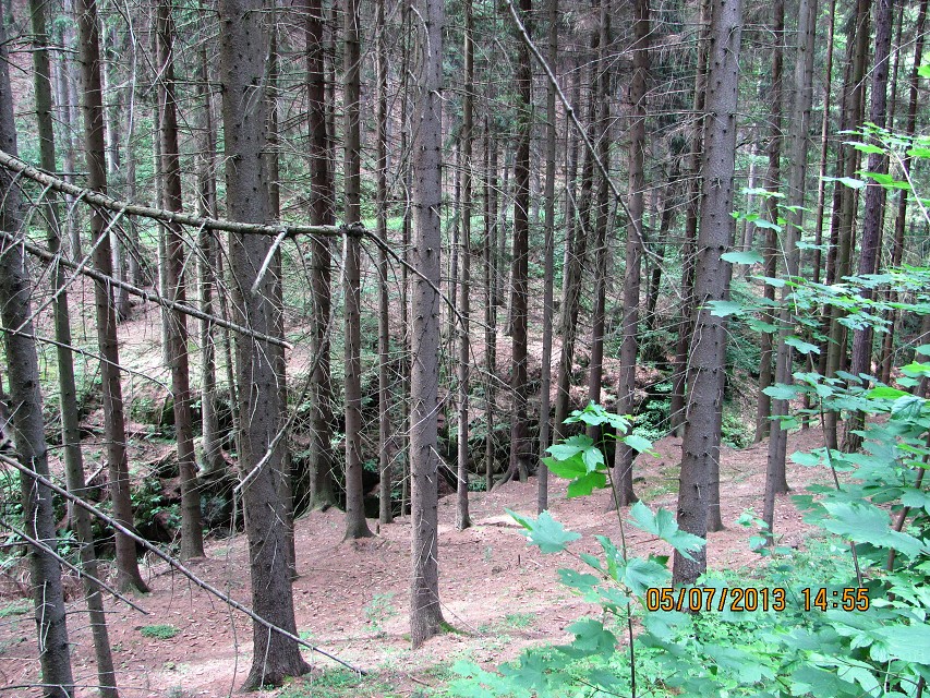 img00034.jpg