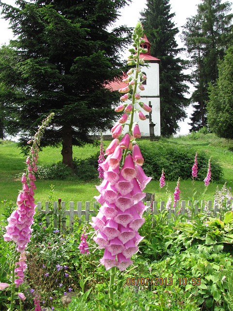 img00065.jpg