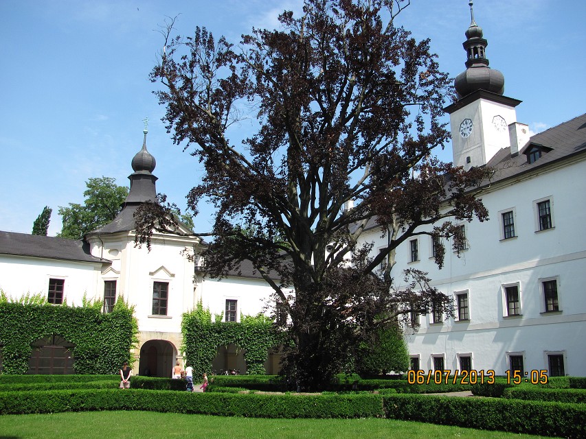img00086.jpg